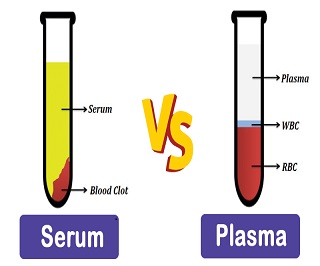 Serum Vs Plasma